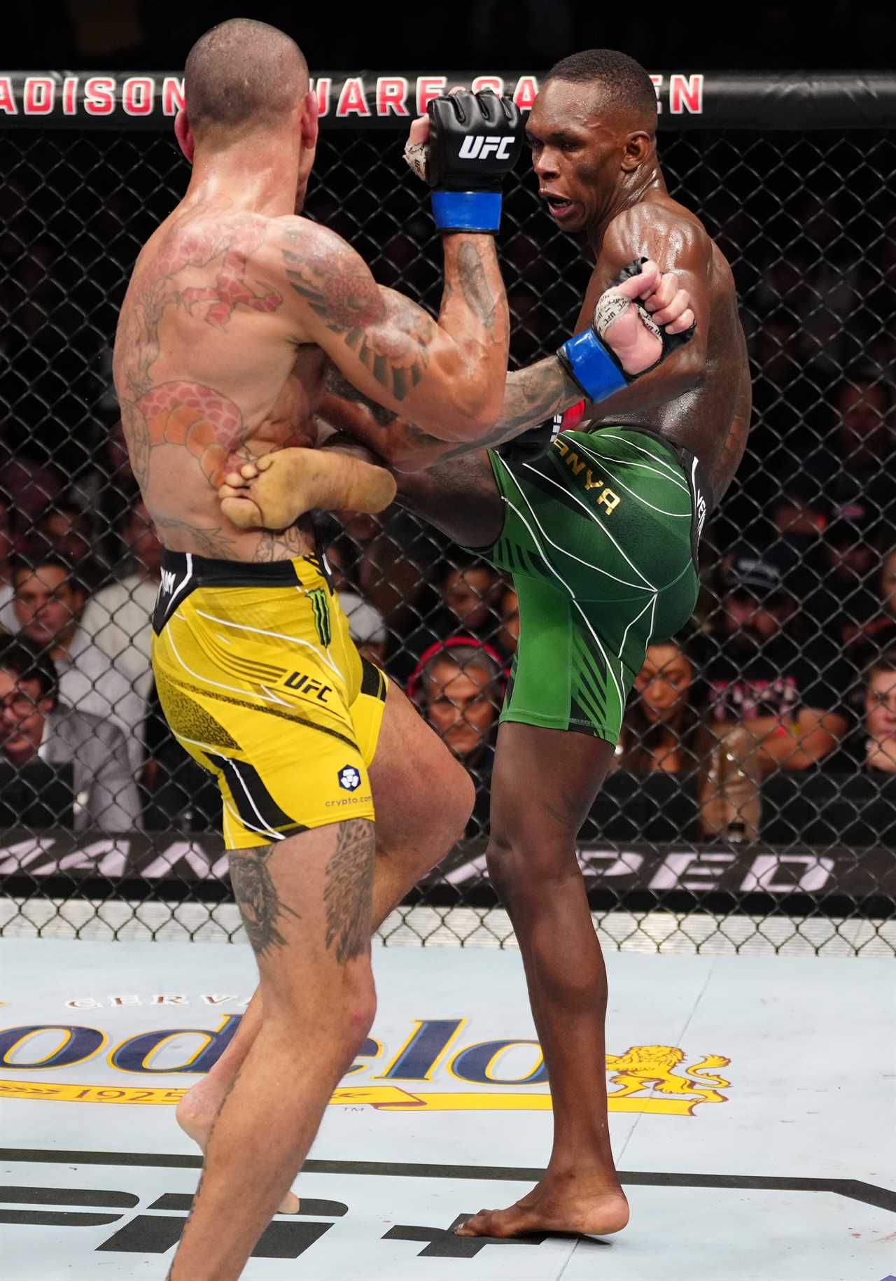UFC 281: Israel Adesanya is brutally KNOCKED OUT at MSG by Alex Pereira as Stylebender's unbeaten MW run comes close