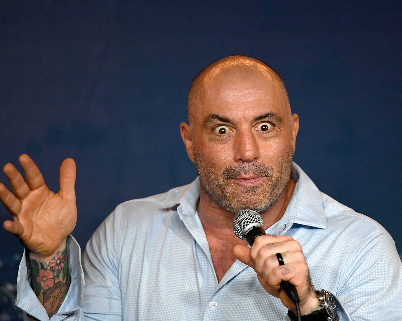 Joe Rogan, UFC legend, owns a luxurious PS4m home with a wine cellar and sweeping views.