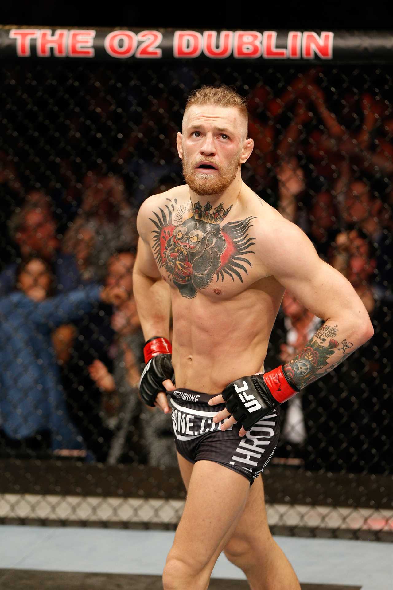 Conor McGregor's incredible transformation of body shows that he can be compared to Bruce Lee and Arnold Schwarzenegger.