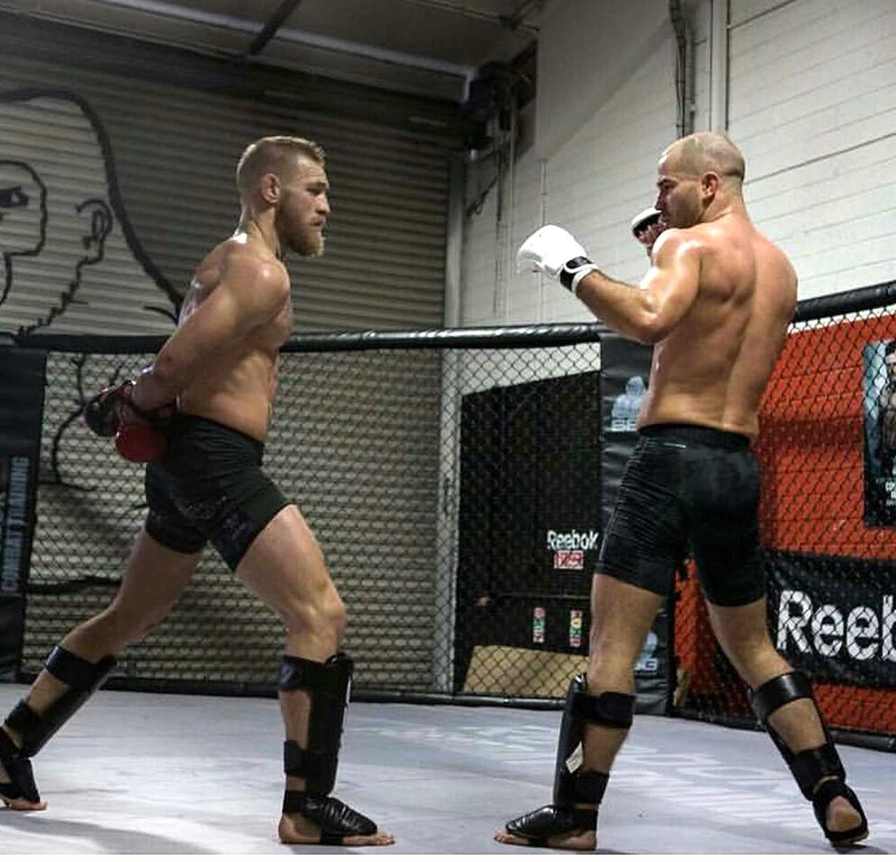 After UFC star Artem Lobov is sued by an ex-training partner for selling Proper 12 whiskey, Conor McGregor calls Artem Lobov RAT