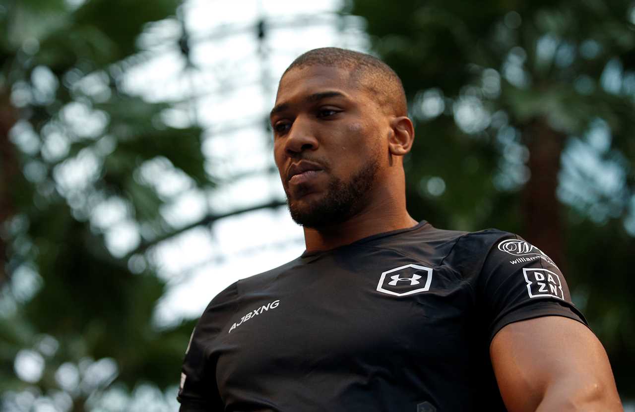 Anthony Joshua claims he is stopped at US customs each time he enters the country. He warns that he cannot run from his past.