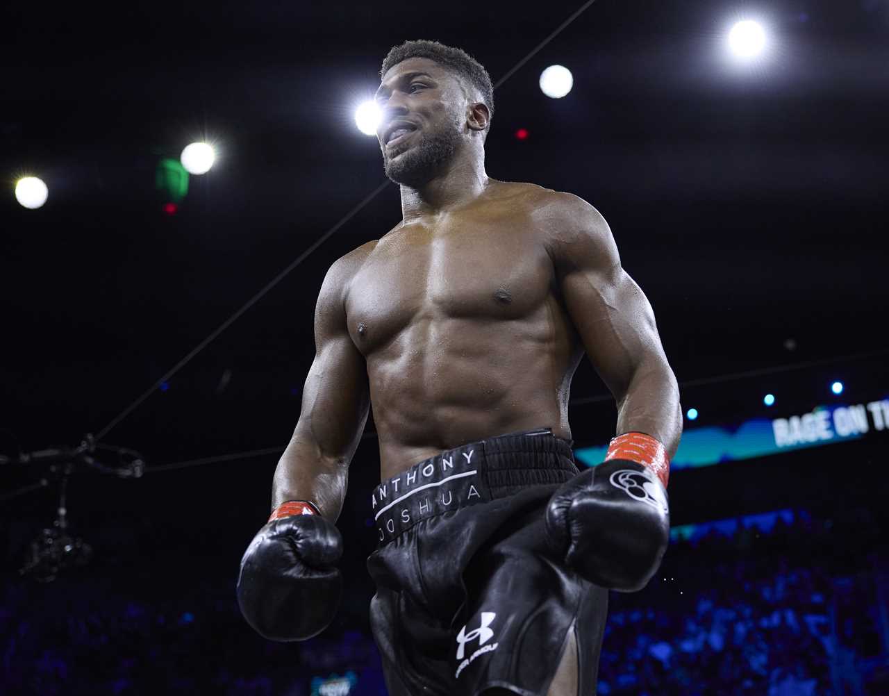 Anthony Joshua claims he is stopped at US customs each time he enters the country. He warns that he cannot run from his past.
