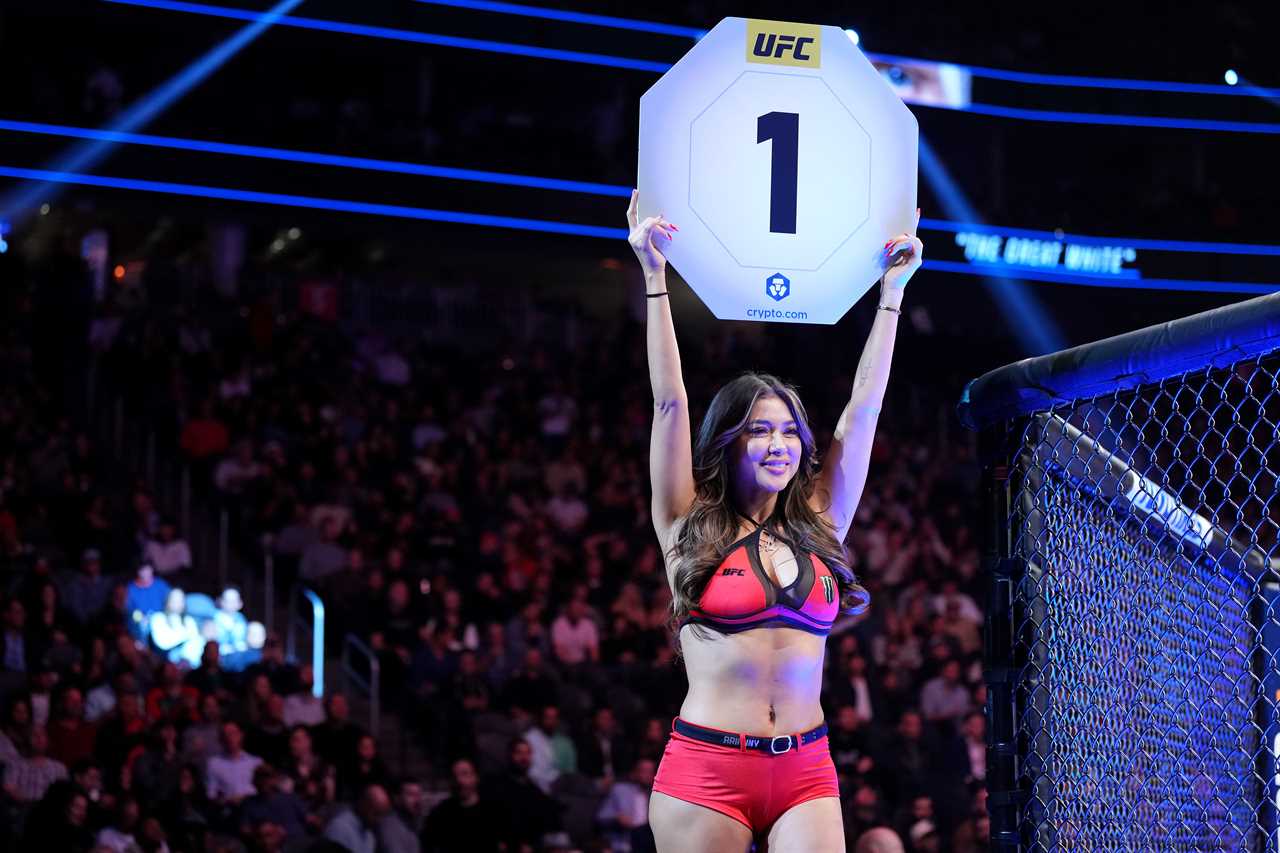 UFC ring girl Arianny Celeste wows fans with racy Santa lingerie as she gets into the Christmas spirit
