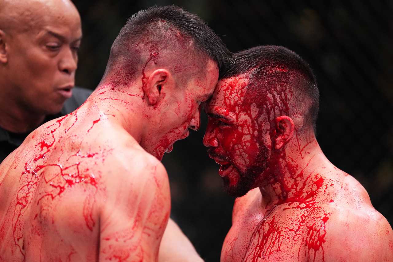 UFC fighter Garcia cuts an artery in his head during a fight, but still wins. It takes 2 hours for the medics to stop bleeding in horror scenes.