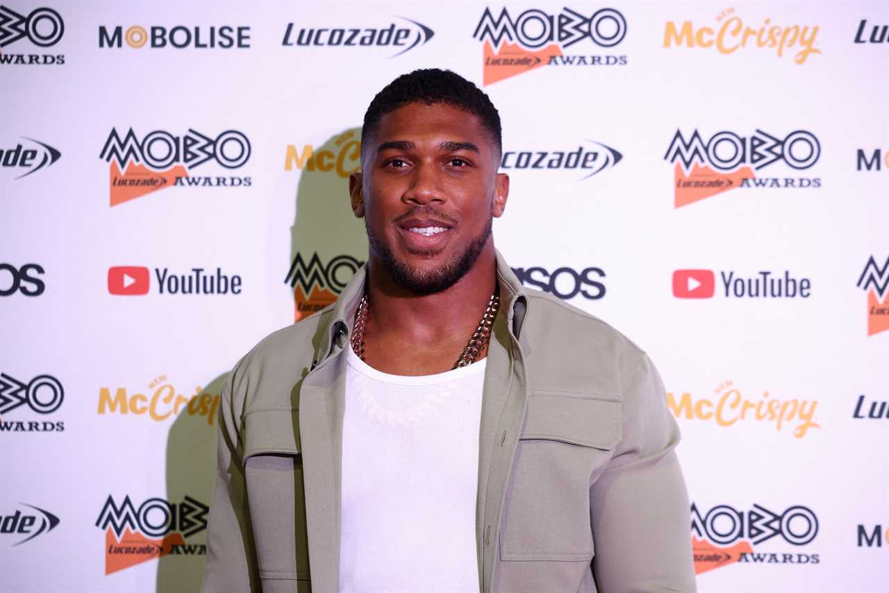 After Roy Jones Jr, the legendary boxing champion, spoke with Anthony Joshua about coaching