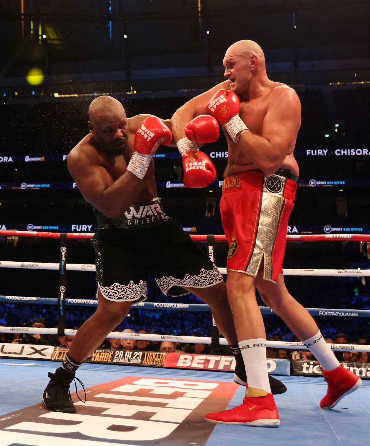 Bob Arum, the legendary promoter, reveals the hardest-hitting boxer that he has ever seen.
