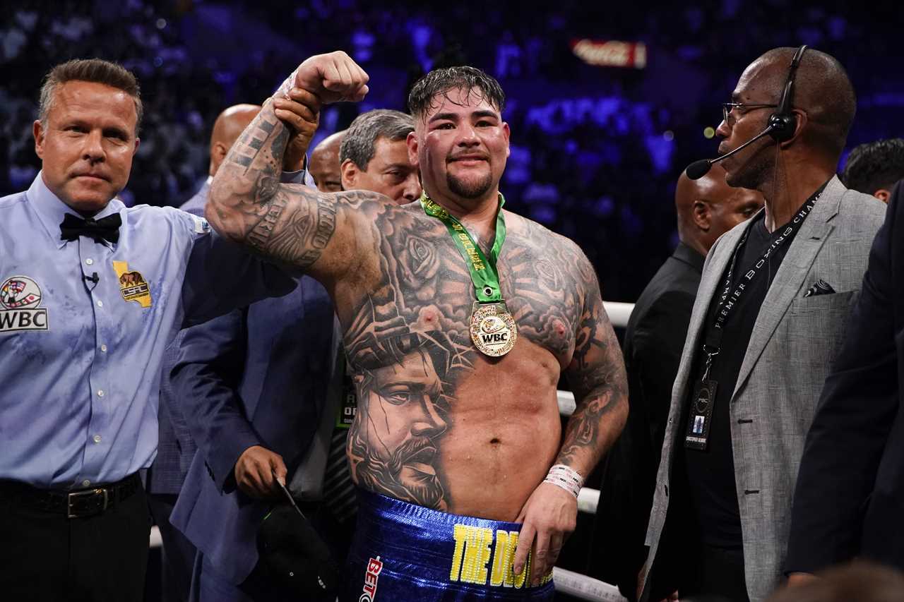 Deontay Wilder will fight Andy Ruiz Jr. next, but it is still possible that a'mystery opponent' is in the frame
