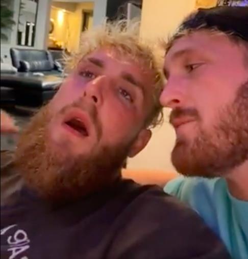 Jake Paul reacts to KSI calling out bitter rival after knocking out Youtuber Faze Temperrr.