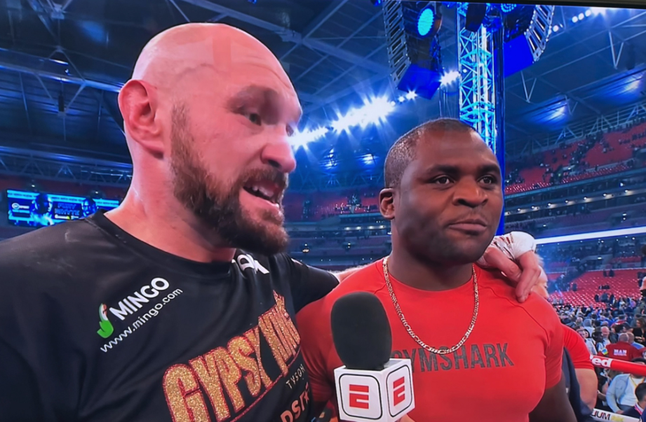 Tyson Fury to fight Francis Ngannou in 'go f*** your money' fight after UFC quits over contract row