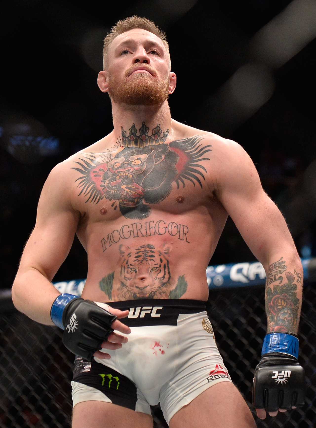 Conor McGregor's jaw-dropping tribute is titled Earned after Jose Aldo, a former UFC champion, was inducted into the Hall of Fame