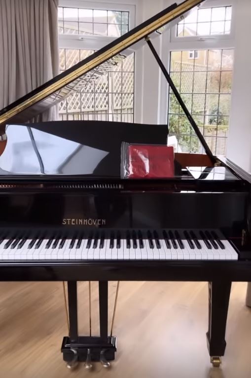 Ebanie Bridges' home has a grand piano, framed photos of bums and boobs, and biographies about TWO boxing icons