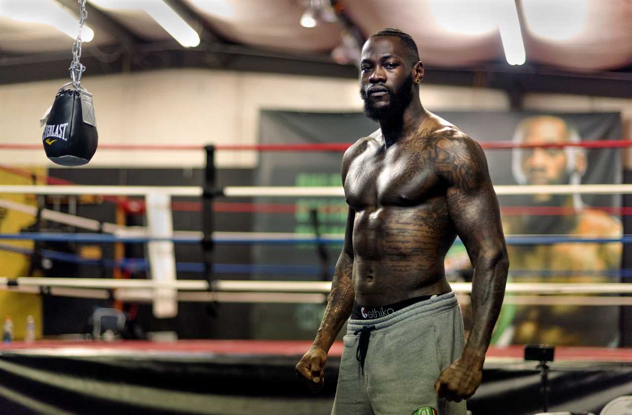 Deontay Wilder says the 17th heavyweight was the hardest partner to Wladimir Klitschko and David Haye