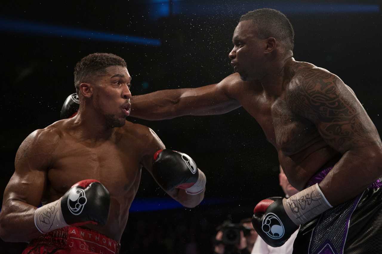 After Dillian Whyte accused a rival of being scared to lose', Deontay Wilder was labelled a fraud and coward.