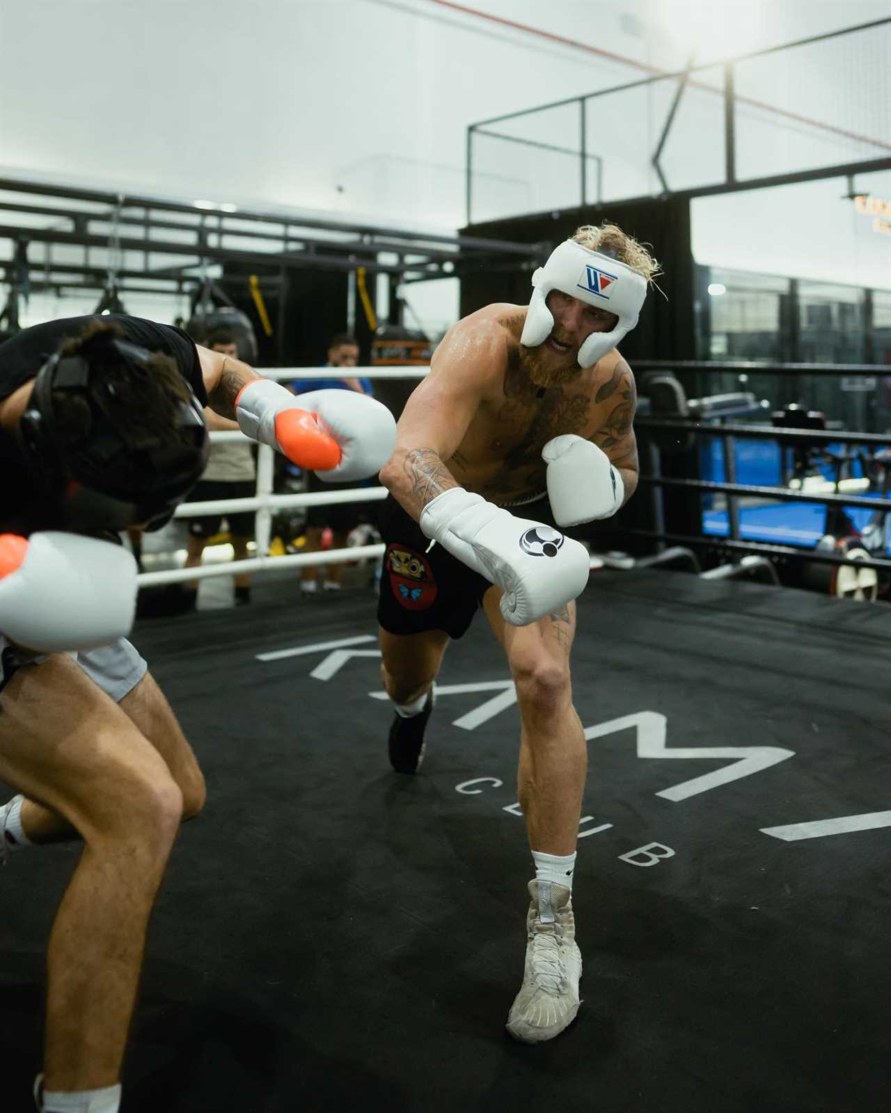 Jake Paul releases training photos ahead of the fight and lists TWELVE reasons why he will defeat Tommy Fury