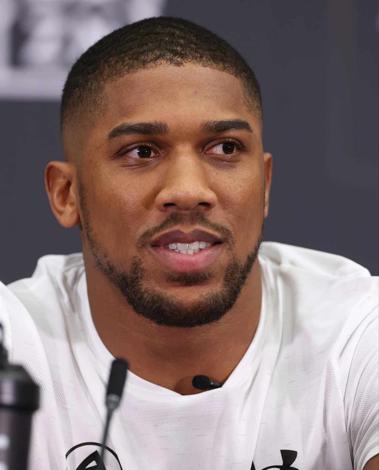 Anthony Joshua acknowledges that the Deontay Wilder superfight is long overdue and insists it will happen.