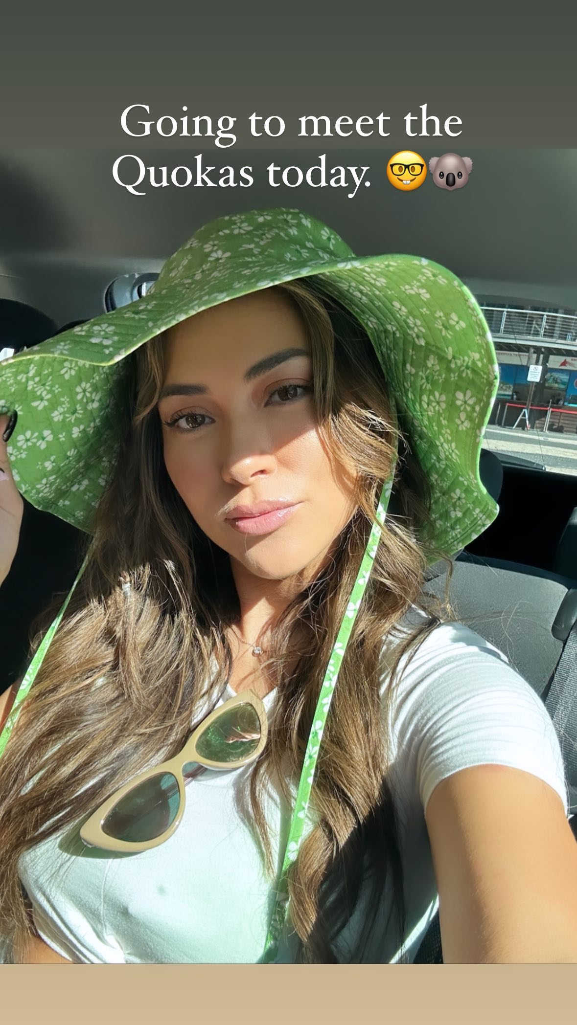 UFC Ring Girl Arianny Celeste looks stunning in her luminous green bikini on the beach as UFC fans praise 'hot mama.