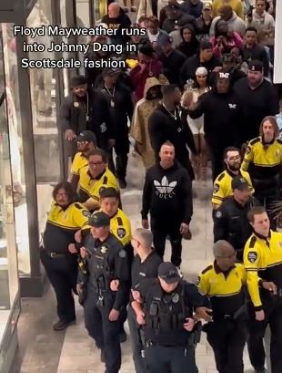 Floyd Mayweather, boxing legend and boxer extraordinaire, heads out to shop with a large entourage and '30 security officers'