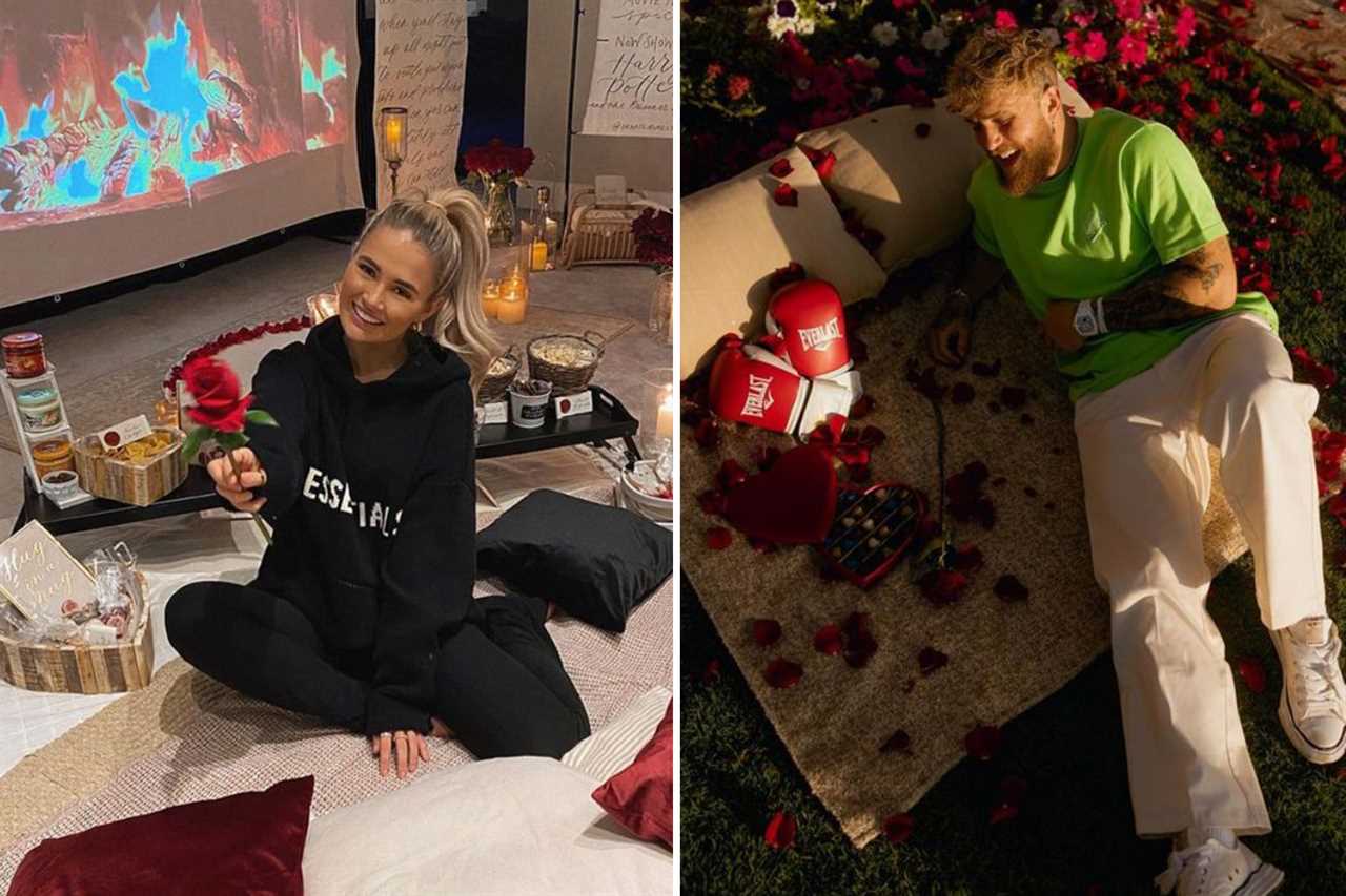 Jake Paul vs Tommy Fury: 10 rounds of social media battles as we determine who wins from partners and pups, planes to fancy dress, and planes.