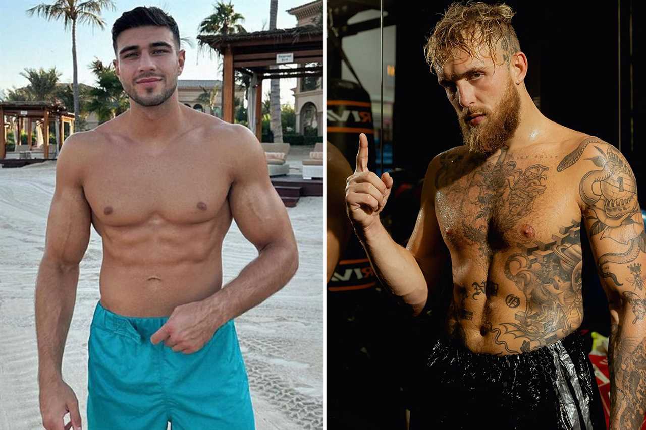 Jake Paul vs Tommy Fury: 10 rounds of social media battles as we determine who wins from partners and pups, planes to fancy dress, and planes.
