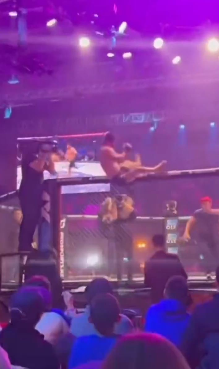 That would be me - Watch the incredible moment Teymur Zhaparov, MMA Fighter, falls off the top of his cage.