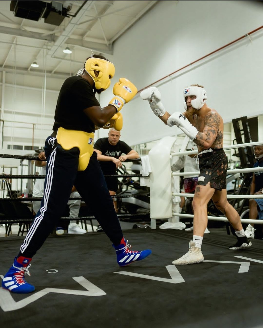 Jake Paul is my sparring partner. He already has an advantage over Tommy Fury. Jake should be taking this fight seriously.