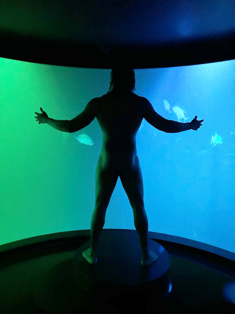 YouTuber KSI shows nakedness in front of a giant fish tank and makes a comparison to Roman God, leaving fans stunned