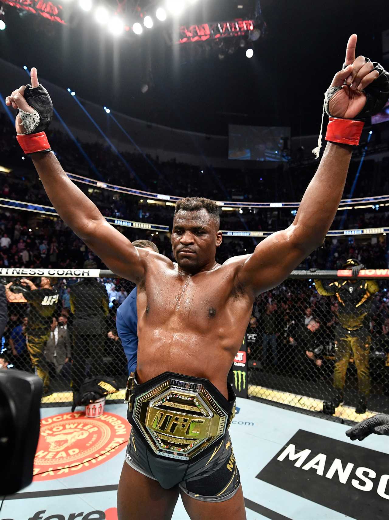 After UFC 285 victory over Gane, Jon Jones responds in an X-rated manner to Francis Ngannou’s tweet jibe.