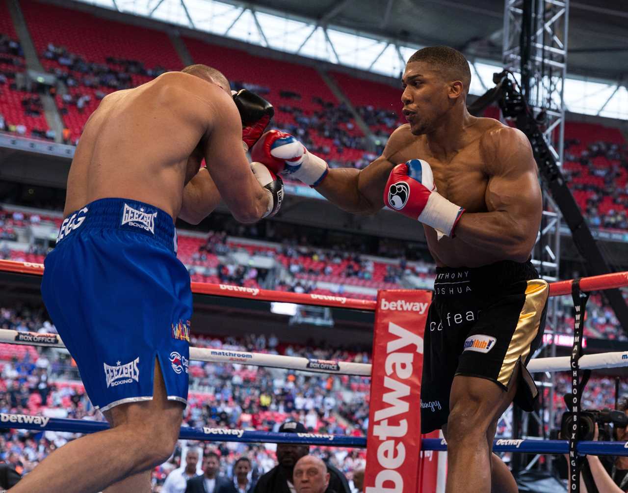 I was sentenced for assaulting a police officer and sparred with Tyson Fury. Anthony Joshua beat me at Wembley Stadium.