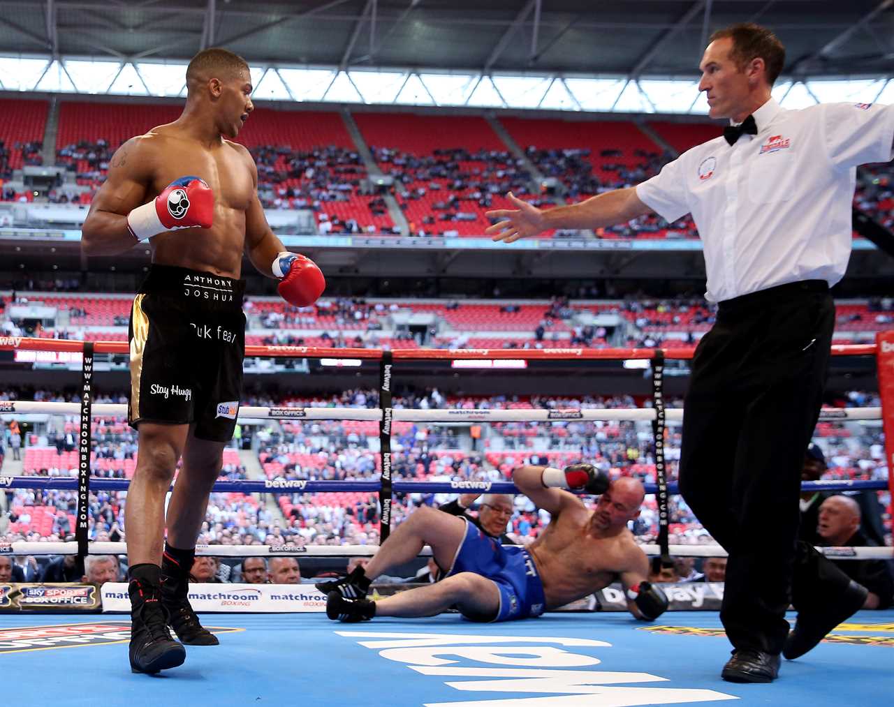 I was sentenced for assaulting a police officer and sparred with Tyson Fury. Anthony Joshua beat me at Wembley Stadium.