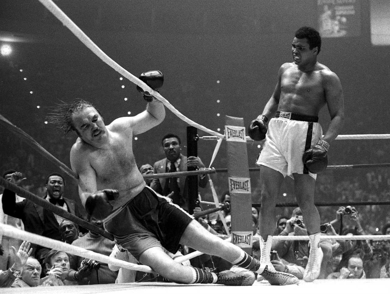 Muhammad Ali was knocked to the ground by me, and I fought a bear. He went to prison for drug possession, and I inspired the Rocky movies.