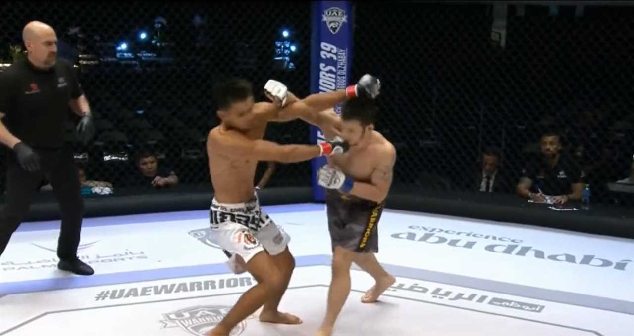 Horror scene: MMA fighter is brutally KOd in front of trying to wrestle referee.
