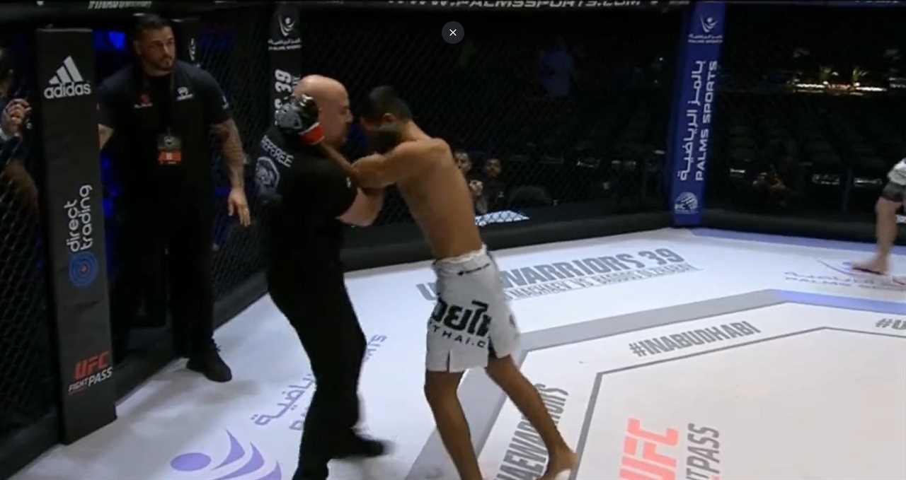 Horror scene: MMA fighter is brutally KOd in front of trying to wrestle referee.