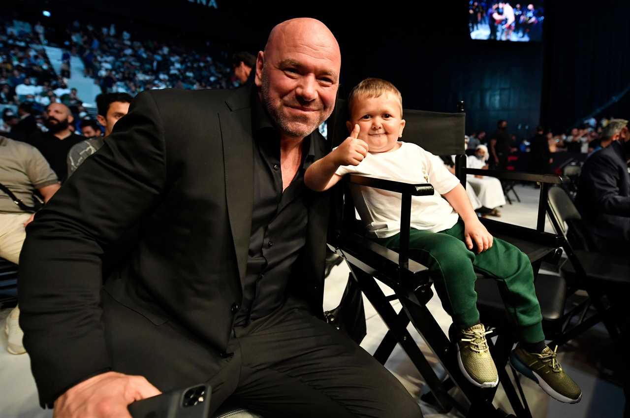 Mike Tyson takes on Hasbulla. He holds him in his arms, and then bites his ear.