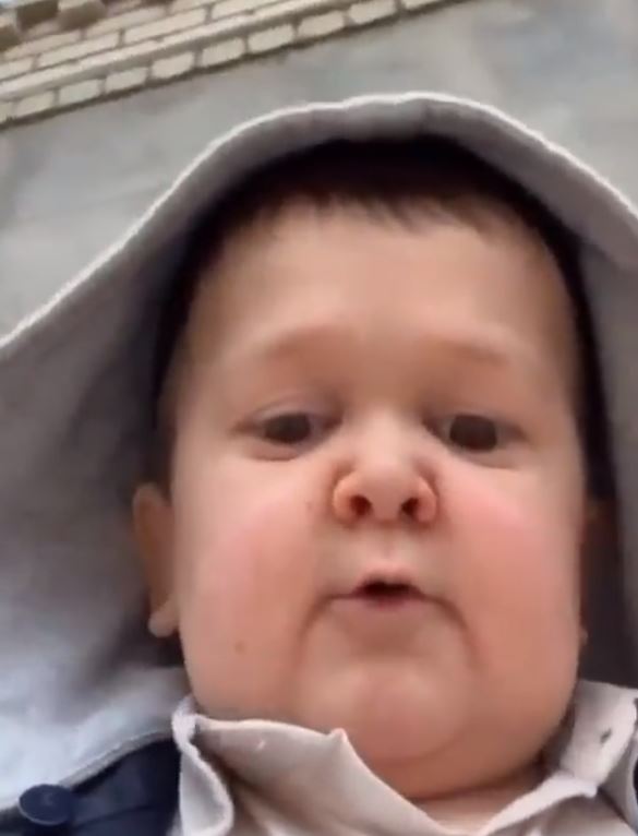 Hasbulla breaks down after UFC star recorded beating his pet cat in sickening video