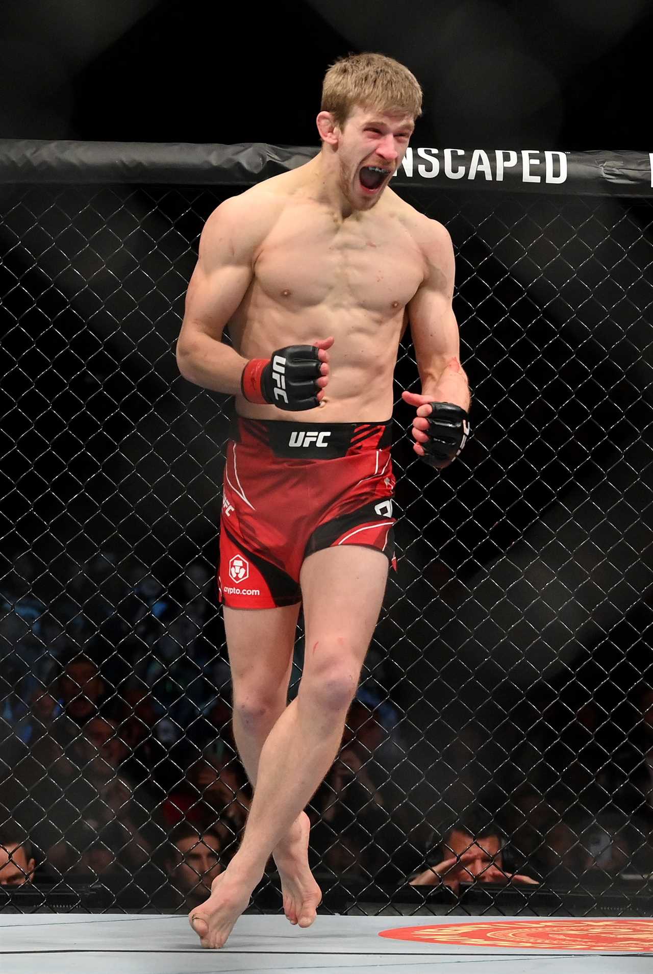 Arnold Allen is a Kate Bush-loving Brit who will soon be fighting for the UFC title after beating Max Holloway.