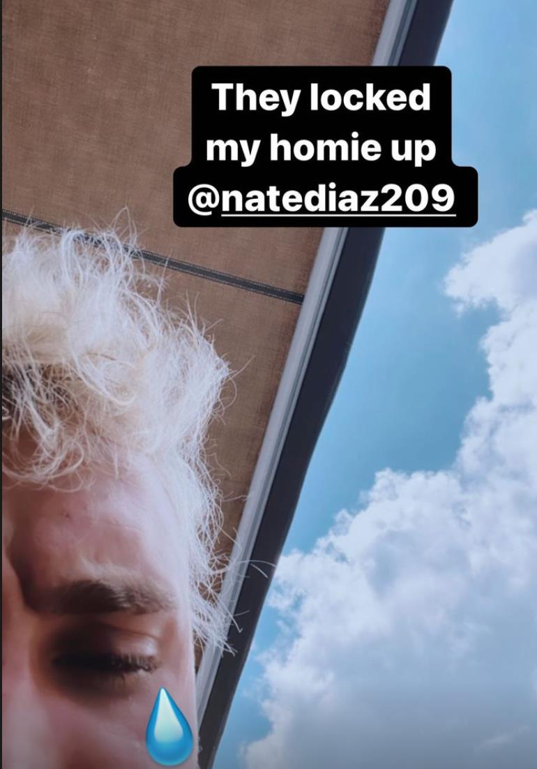 Jake Paul demands that 'homie Nate Diaz' be released from jail after brawl between Logan look-alike and Jake Paul