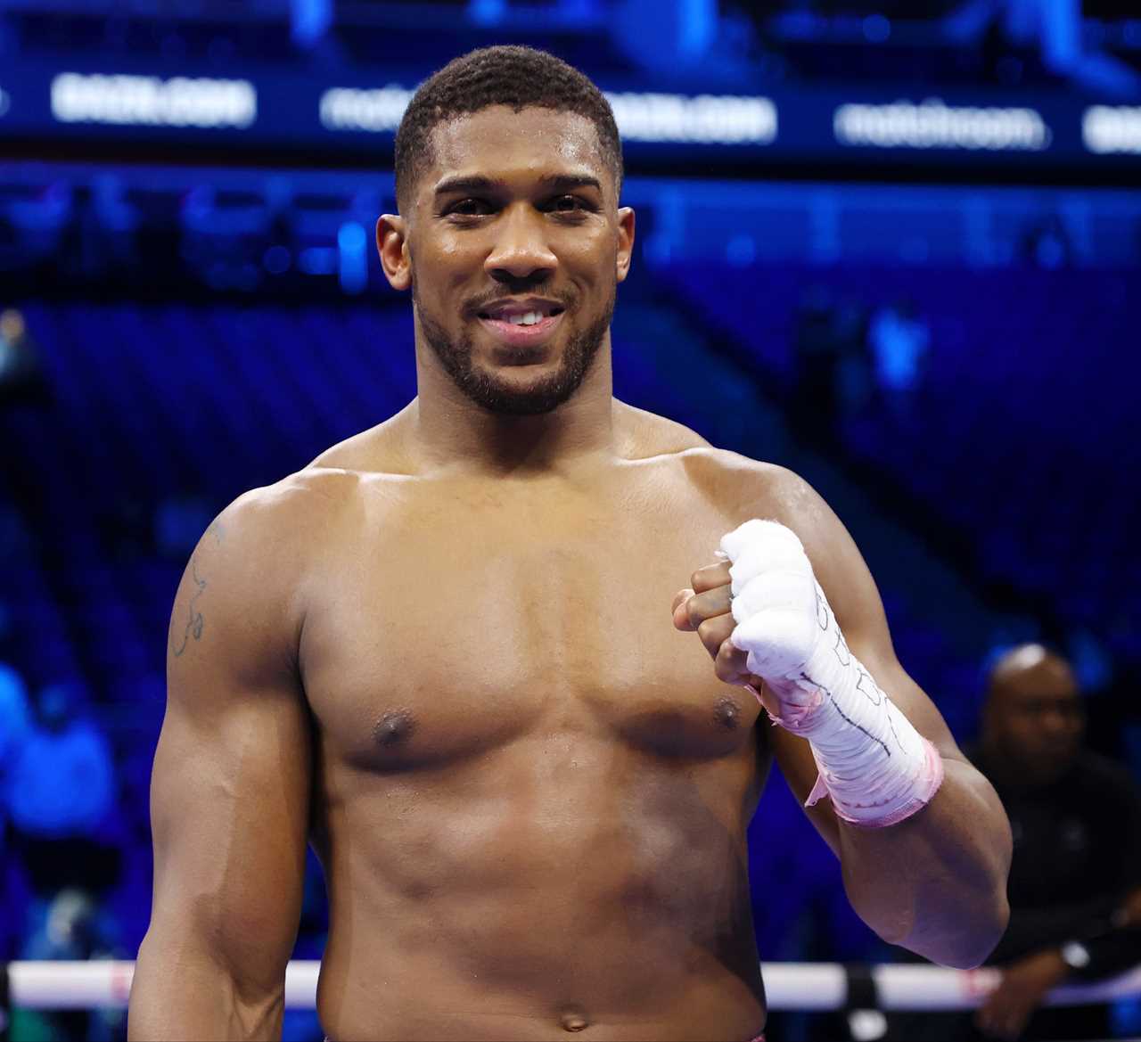 Joshua and Wilder’s lifestyles compared. AJ flies in private jets, and the Bronze Bomber drives a PS430k Lamborghini