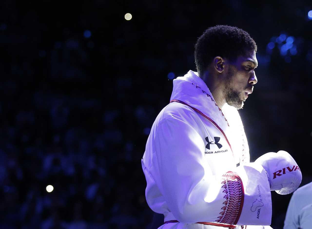 Joshua and Wilder’s lifestyles compared. AJ flies in private jets, and the Bronze Bomber drives a PS430k Lamborghini