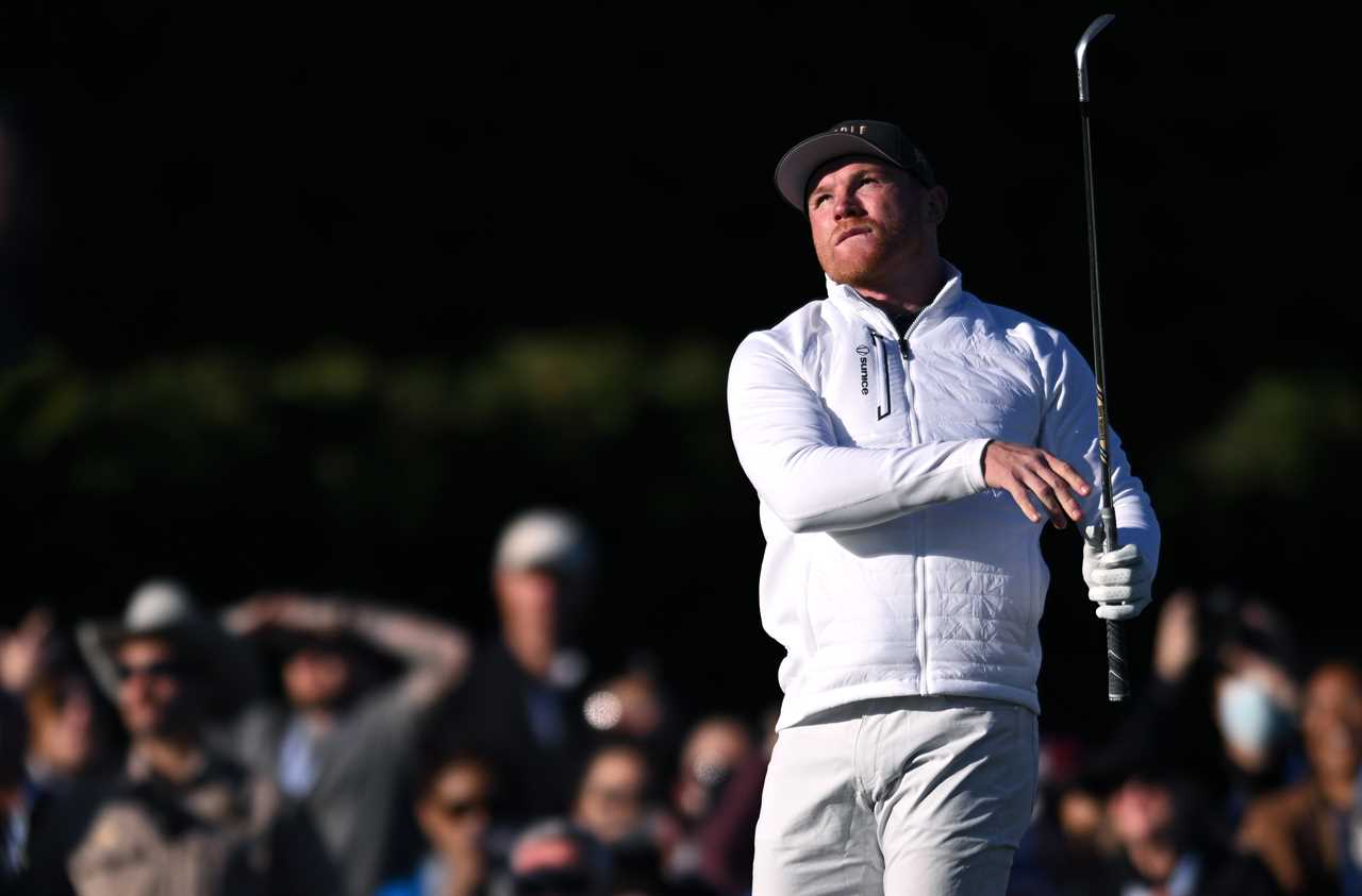 Canelo alvarez suggests a career switch as he looks to 'impossible dreams' after he retires.
