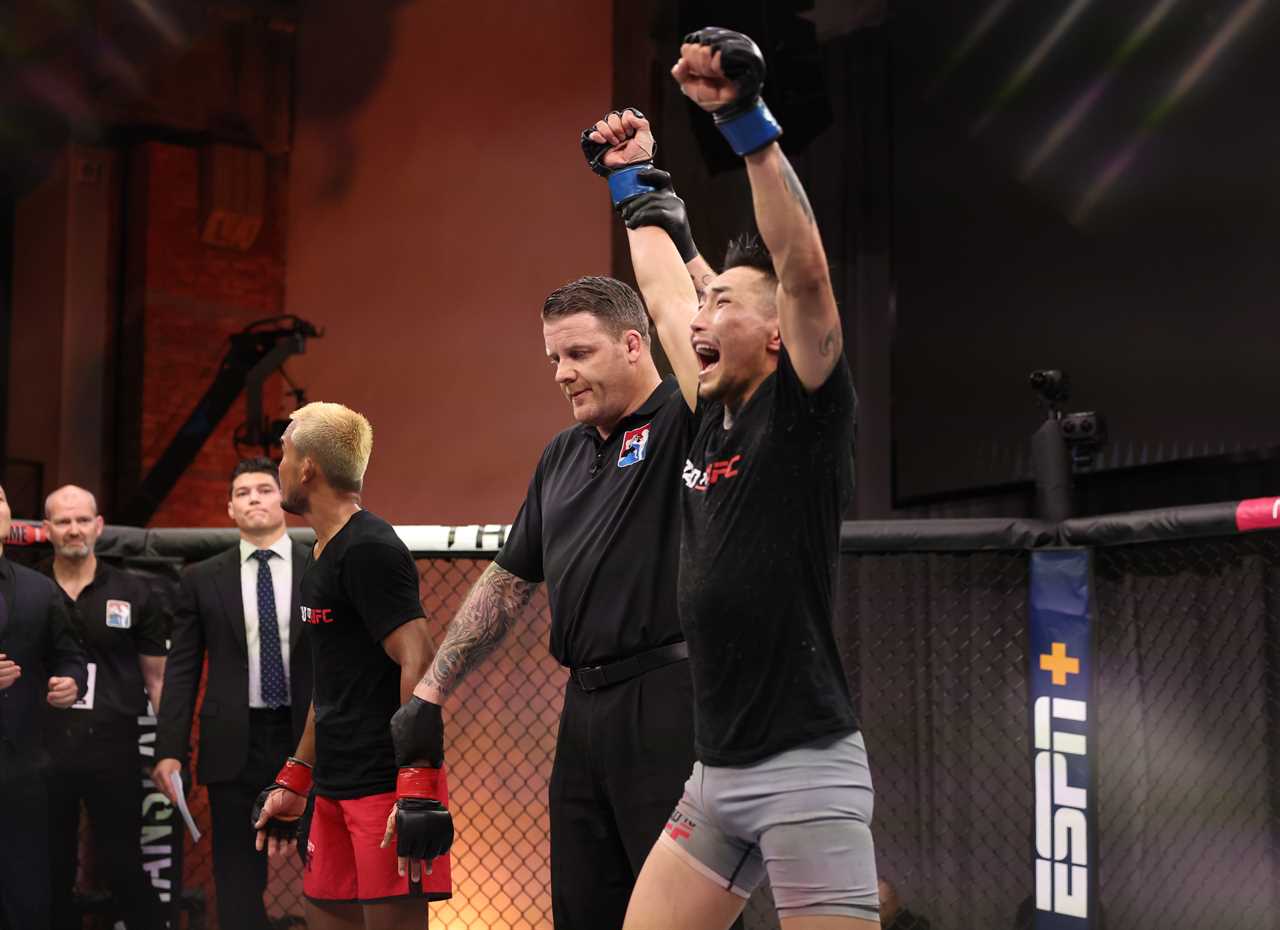 MMA star with blood on his face after horrific eye gouge injury