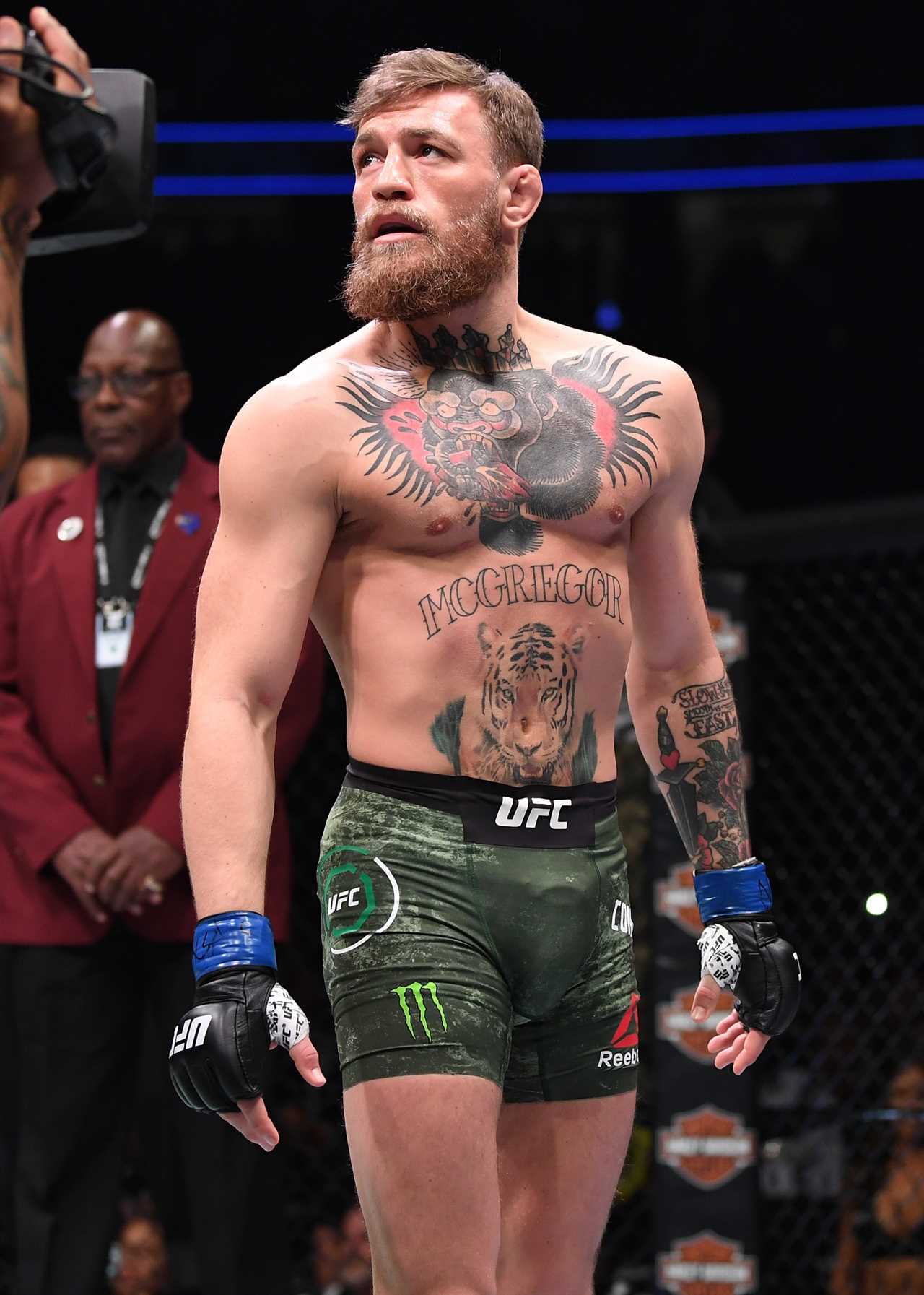 Conor McGregor dominates the PPV rankings in this incredible table