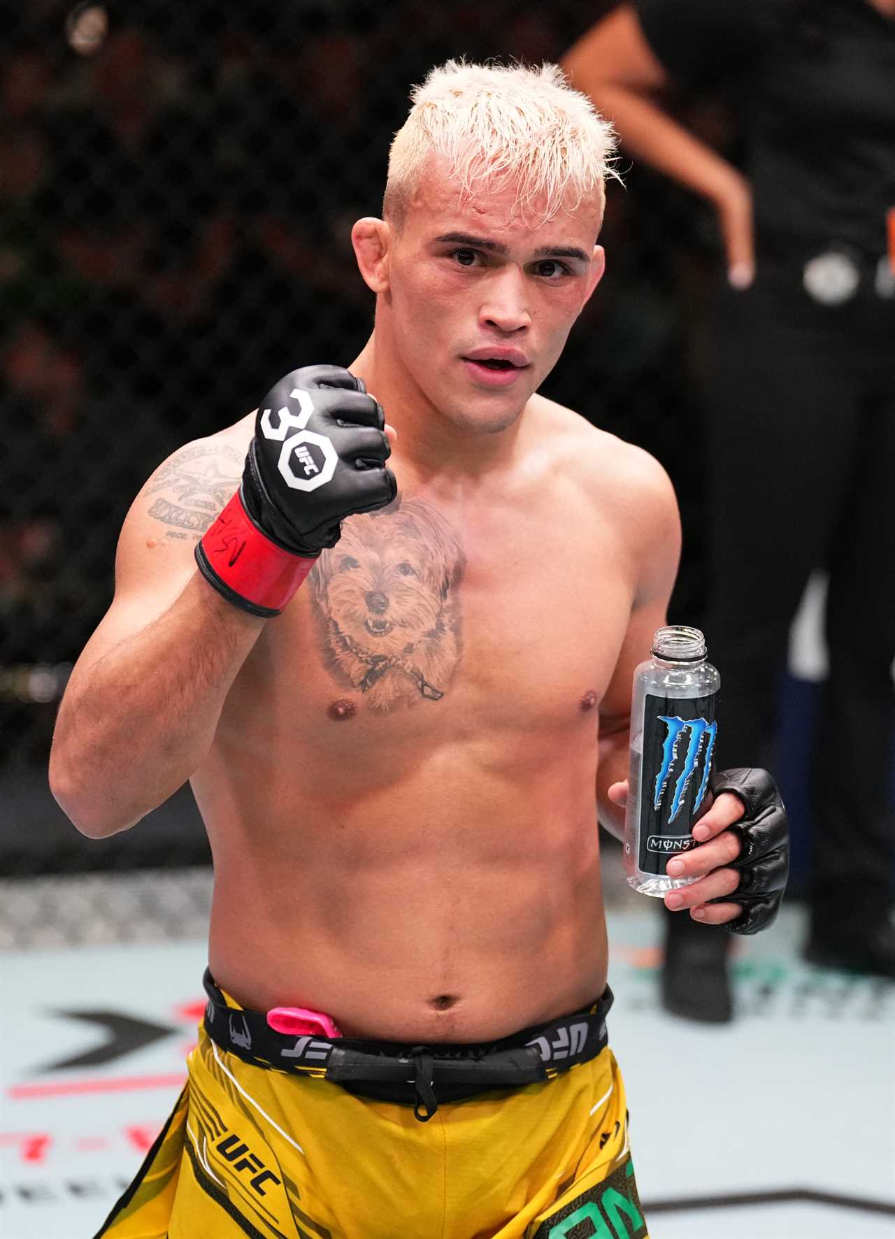 UFC fighter hospitalised after being repeatedly kicked in the groin, with swollen testsicles and peeing BLOOD