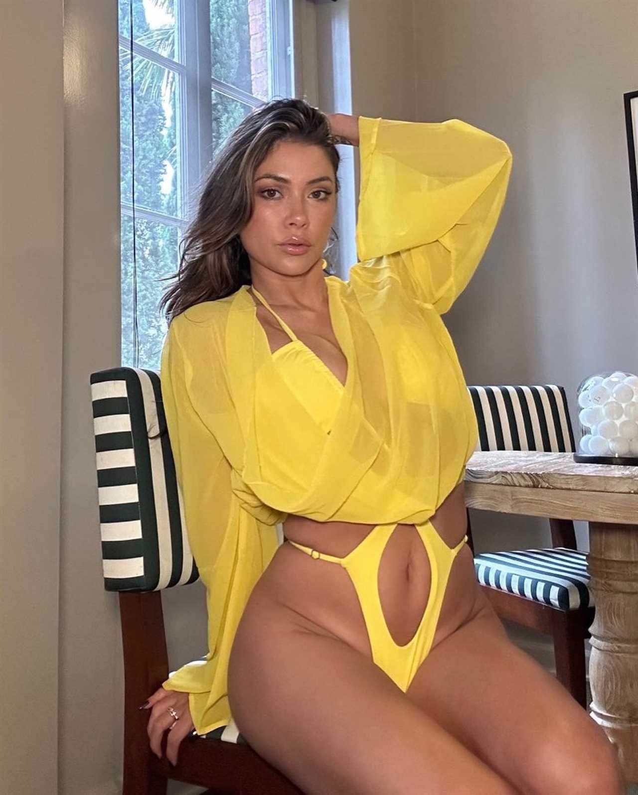 Fans call Octagon girl Arianny celeste 'breathtakingly gorgeous' as she shows off her cleavage while wearing see-through lingerie