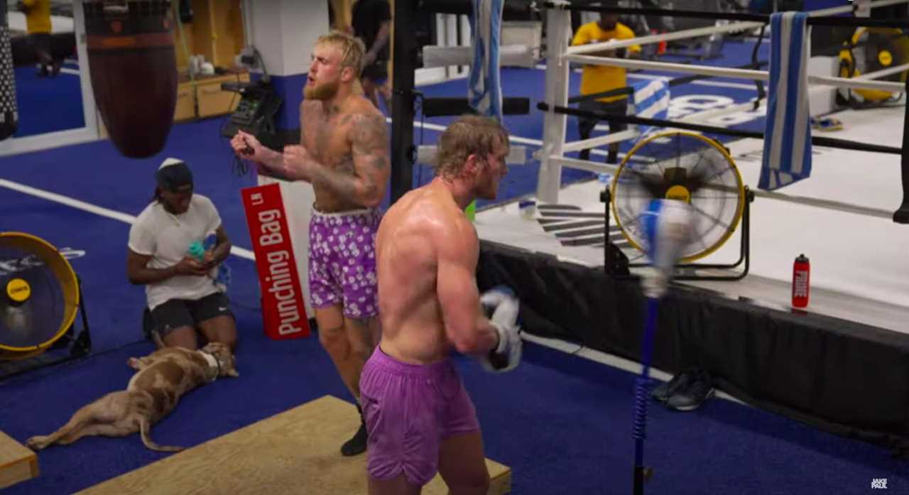 The two-story warehouse gym of Jake and Logan Paul in Puerto Rico, built for $4 million with a boxing ring and weights.