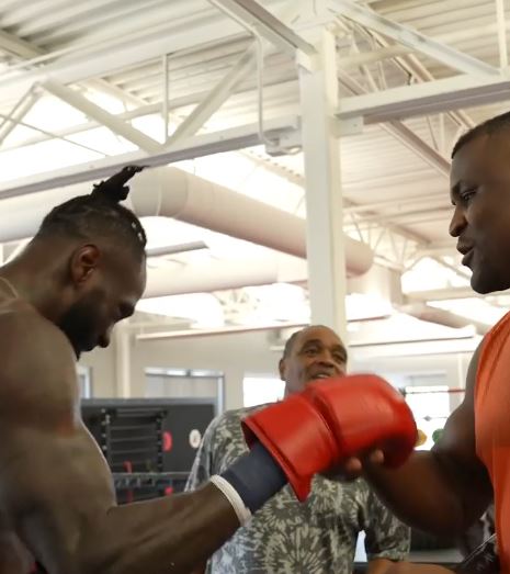 As he updates his bout with Gypsy King, Francis Ngannou is in talks to face Tyson Fury’s heavyweight opponent.