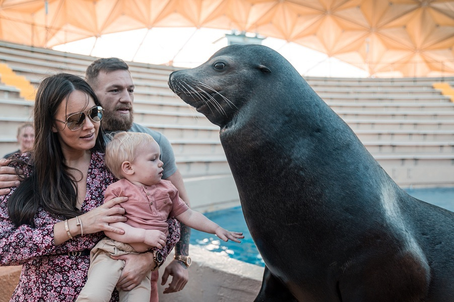 Conor McGregor, UFC star and father of three, revealed that he is expecting a fourth child with Dee Devlin.