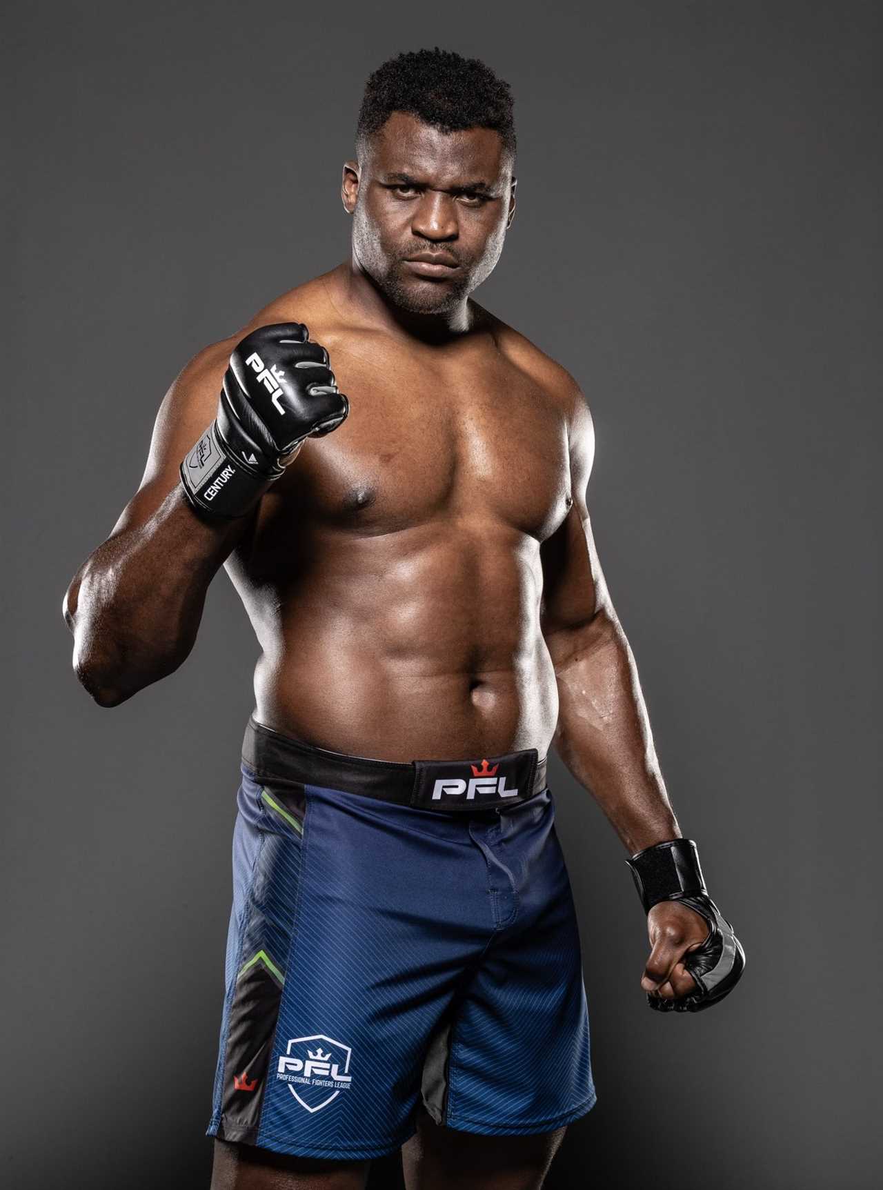 After revealing discussions, Francis Ngannou is ready to fight Gypsy King and end Tyson Fury’s search for an opposition.
