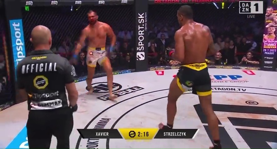 The moment a MMA fighter's leg snaps under him after being broken by a vicious kick