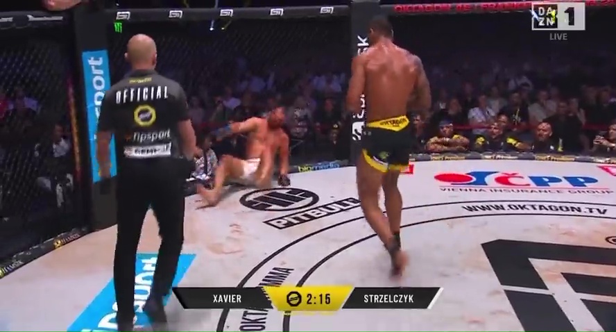 The moment a MMA fighter's leg snaps under him after being broken by a vicious kick