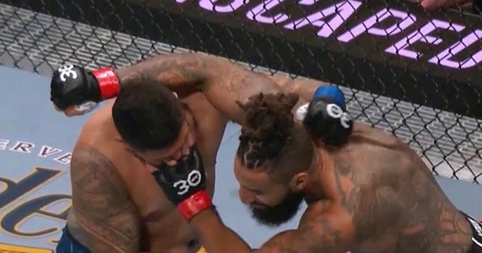 UFC fight is abandoned after star suffered a horrific eye injury, and believed it was ripped out by rival